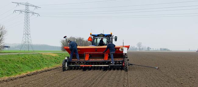 plantuien planten